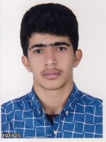 پارسا طیمسی